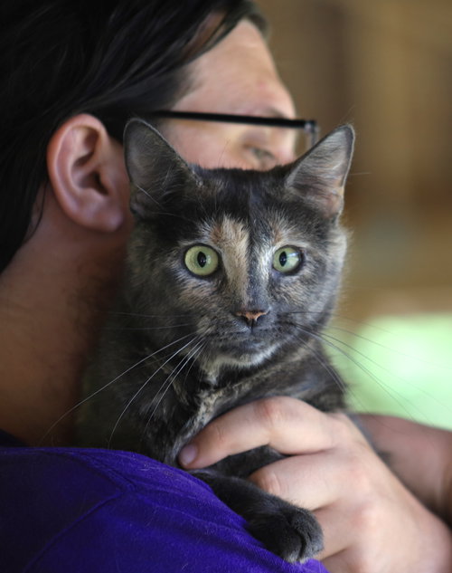 Willow photo 2