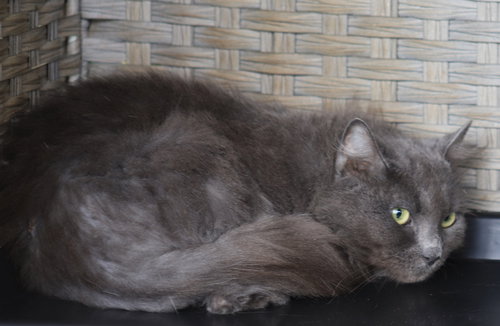 Photo 2 of Claudia