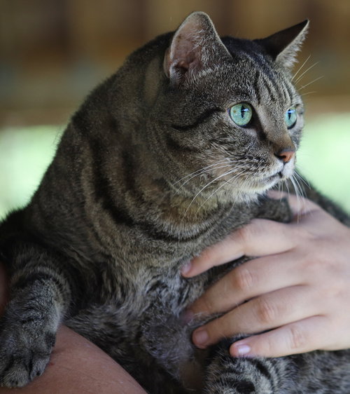 Cleo photo 2