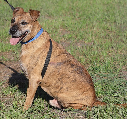 Jack (HW Treatment), photo 3