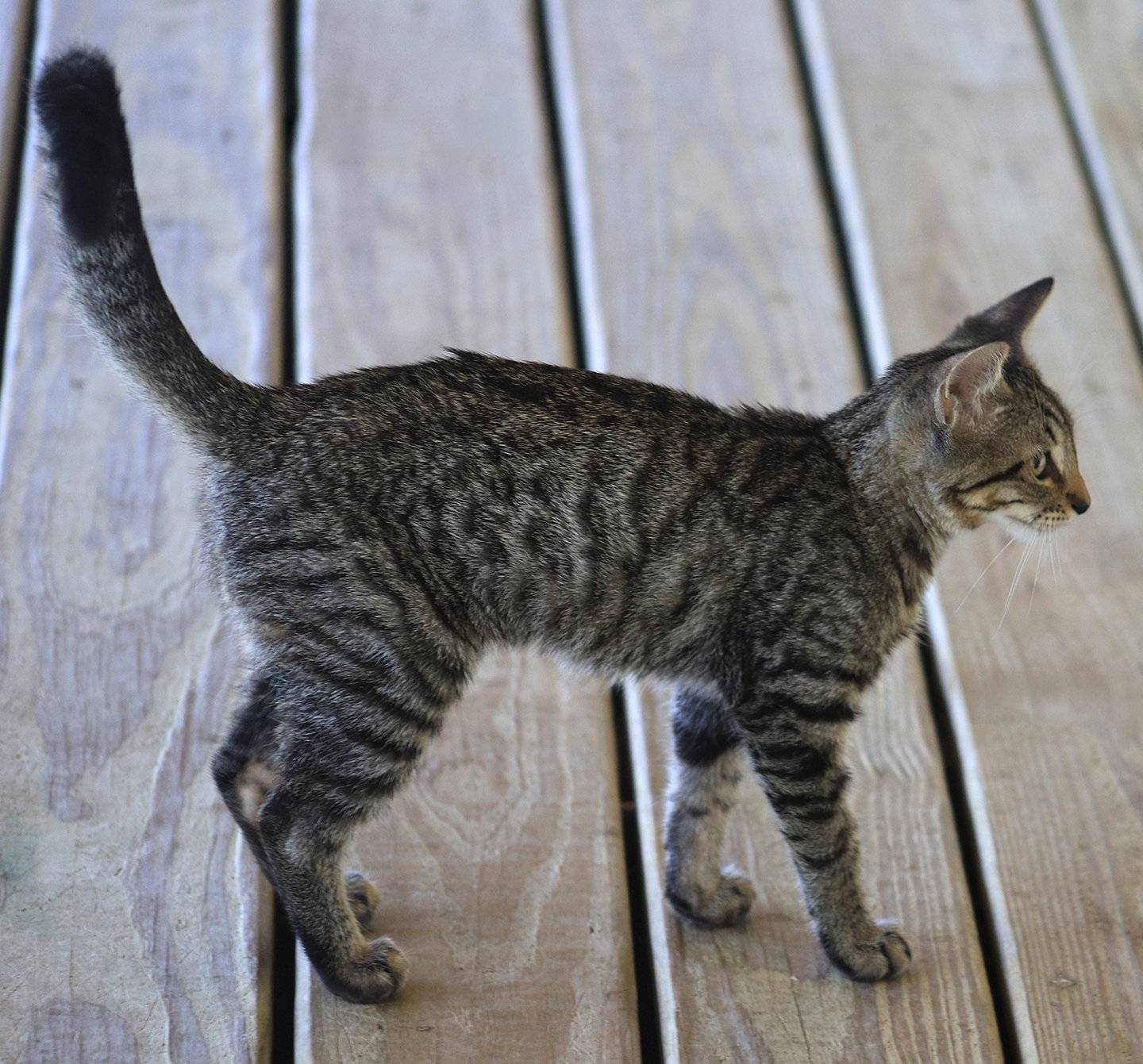 Maryann, photo 2