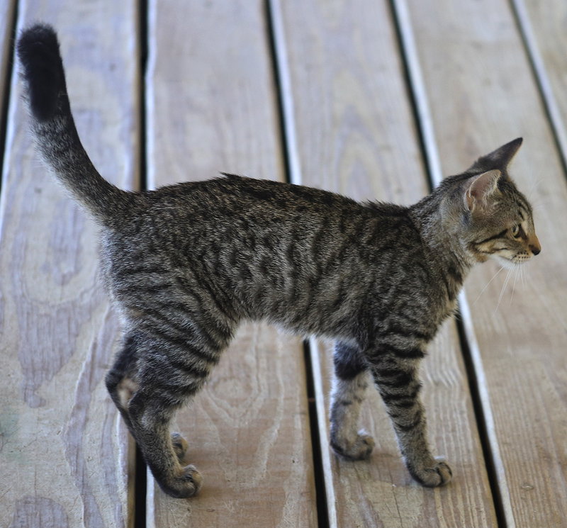 Maryann, photo 2