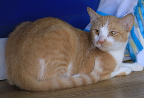 Photo 2 of Monterey Jack