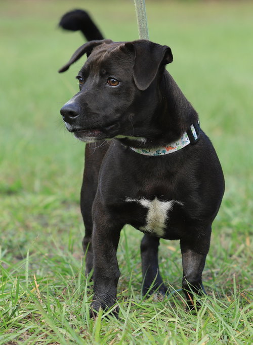 Photo 3 of Max