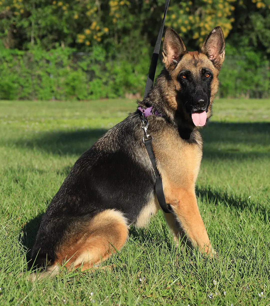 Talia image 4