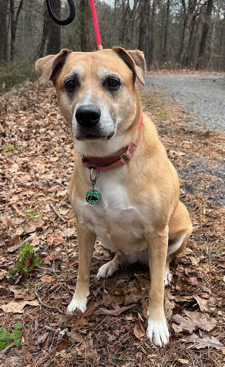 Bella