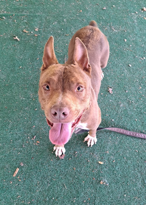 Photo 3 of Athena