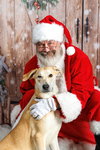 Rupert- $75 Adoption Fee! Diamond Dog! - Photo 2