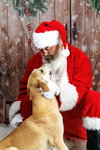 Rupert- $75 Adoption Fee! Diamond Dog! - Photo 3