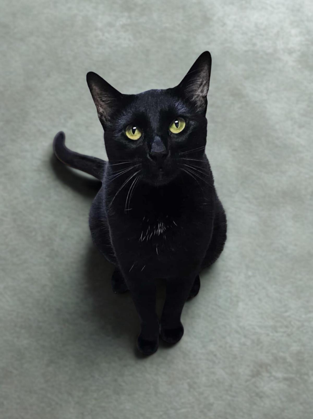 Binx