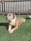 Kaia - Photo 1