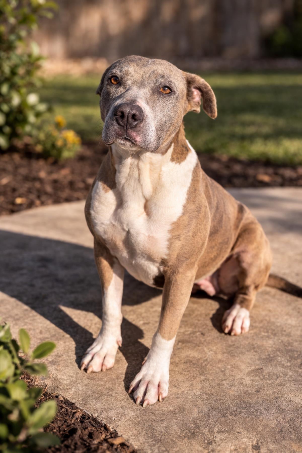 Kaia