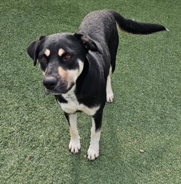 Waverly