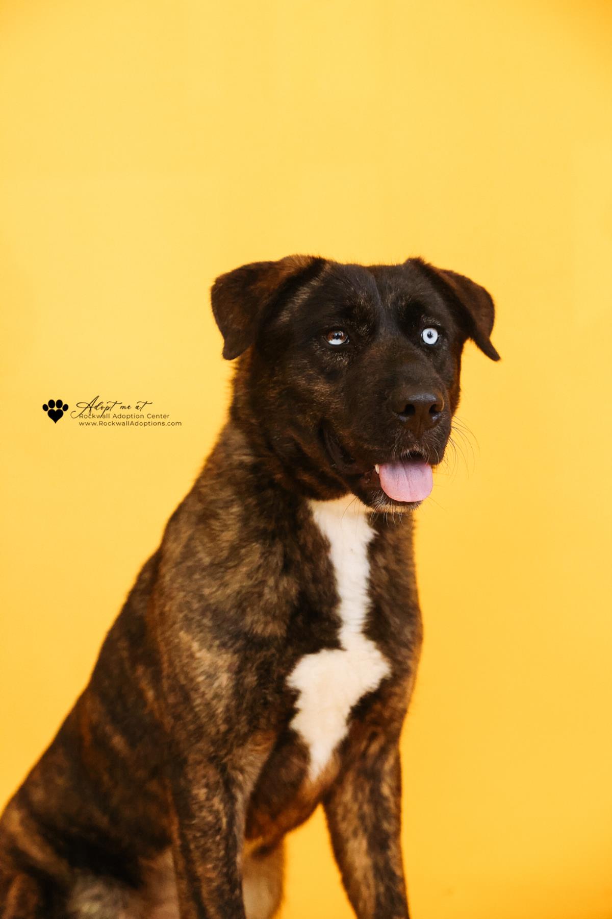 Muneca Image