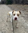 Athena - Photo 1