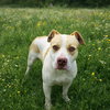 Athena - Photo 2