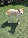 Athena - Photo 3