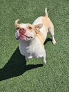 Athena - Photo 4