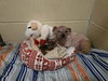 Esther - Photo 2