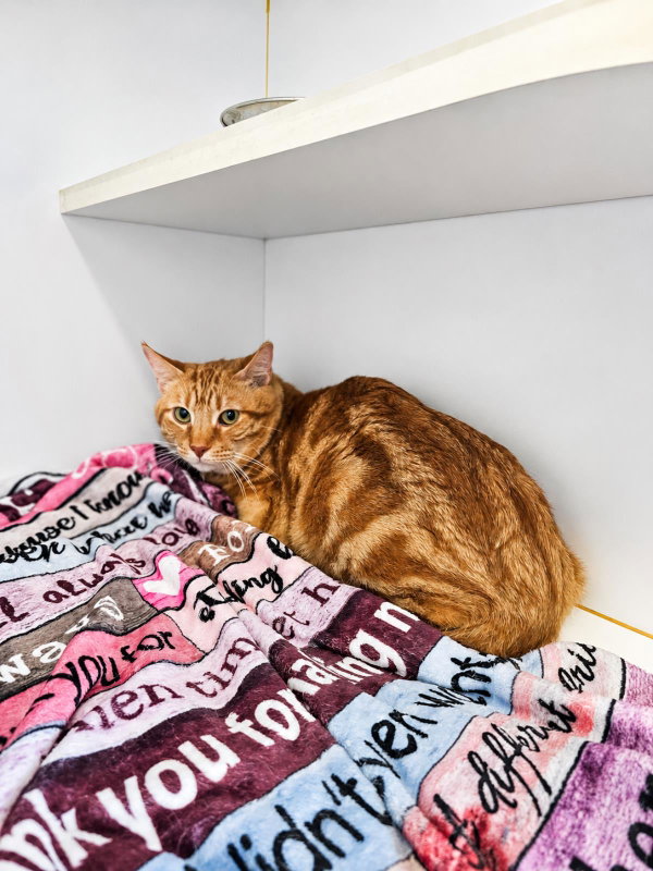 Tora