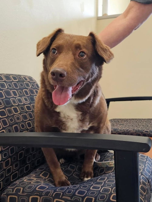 Jake- In Foster