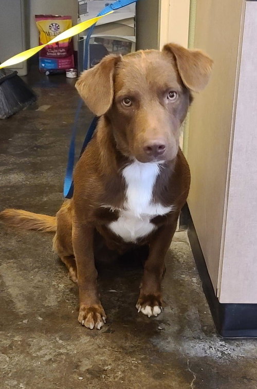 Jake- In Foster photo 2