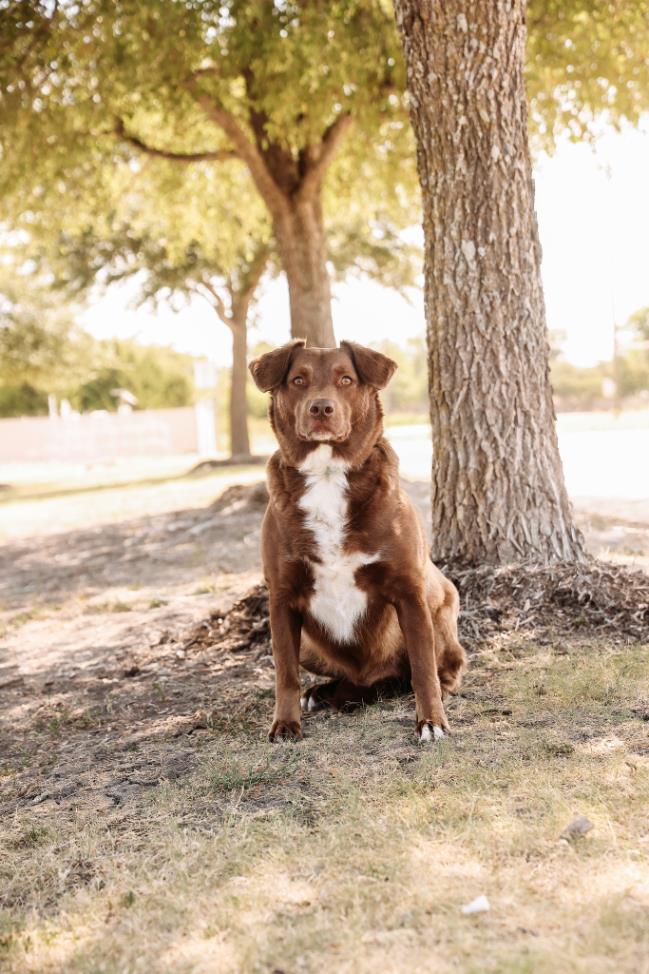 Jake- In Foster
