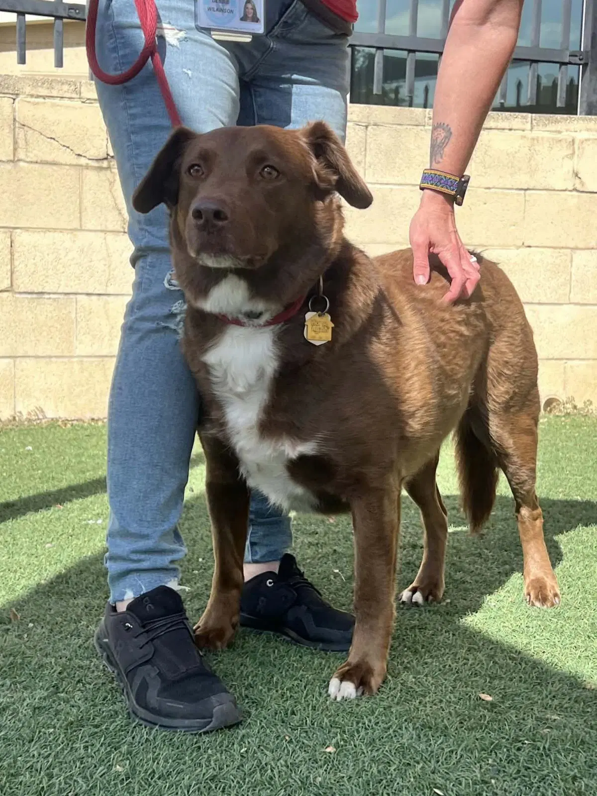 Jake- In Foster image 3