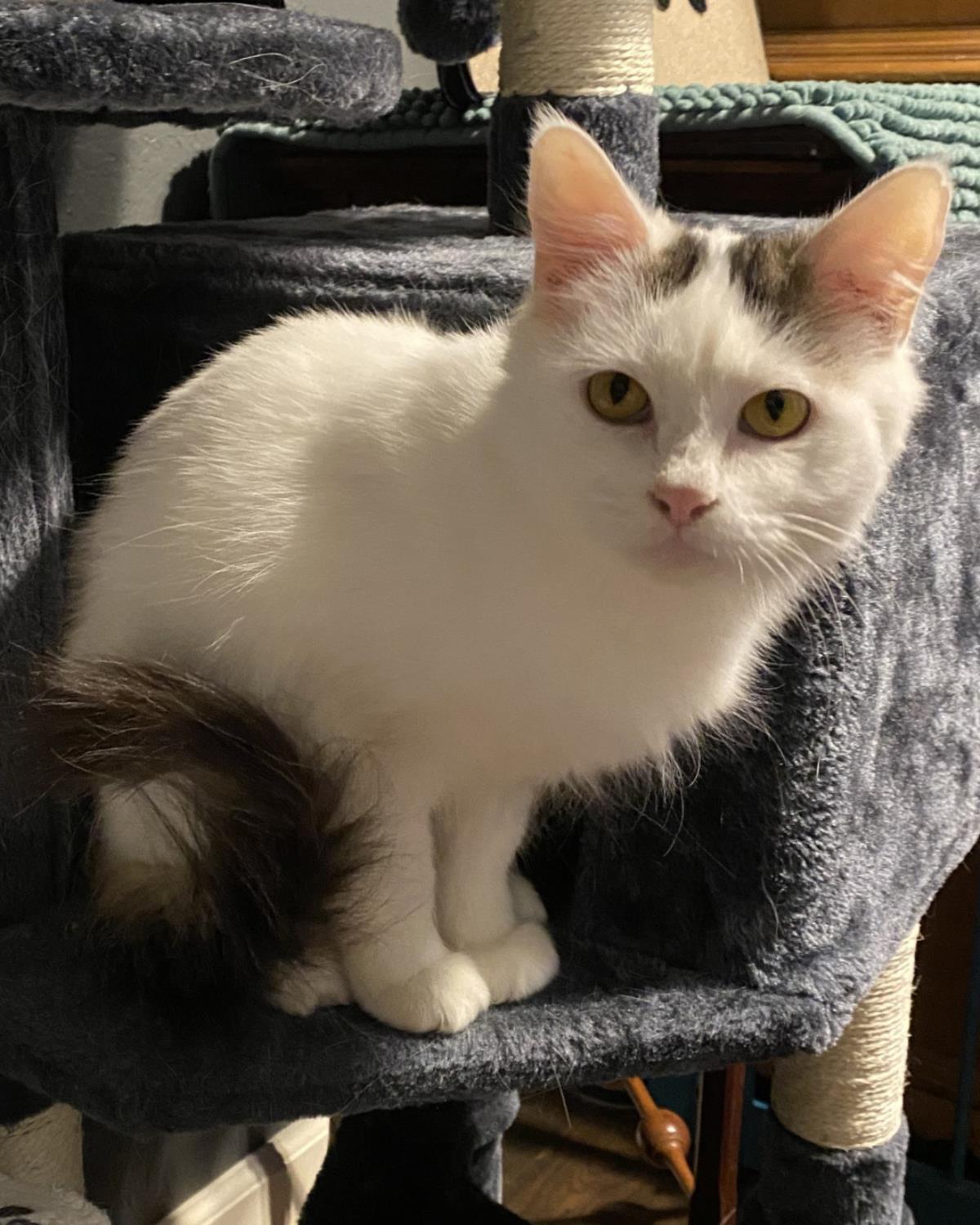 Sally-In Foster, photo 3