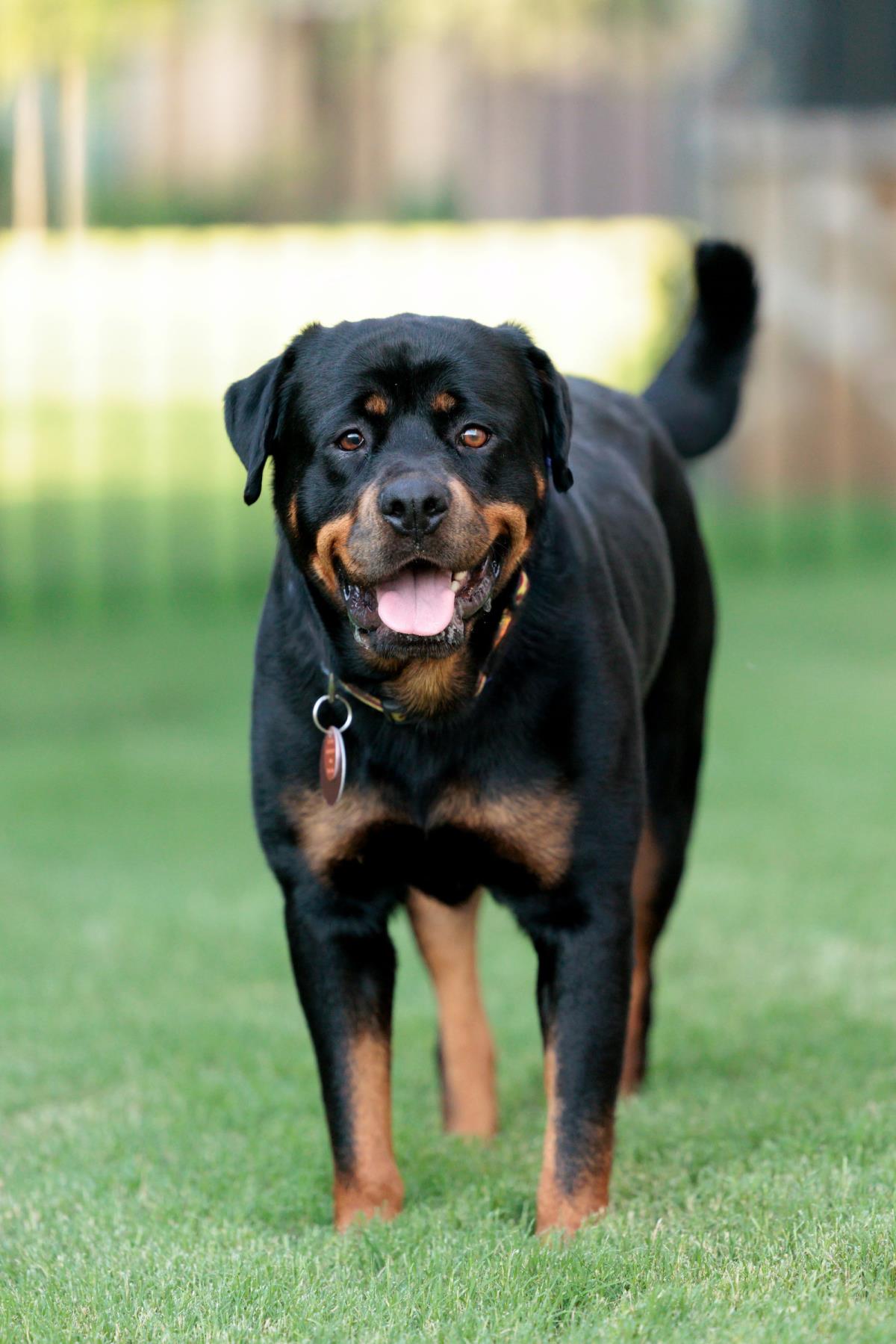 Maria-In Foster