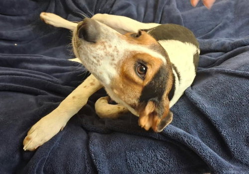 Photo 4 of Zoe