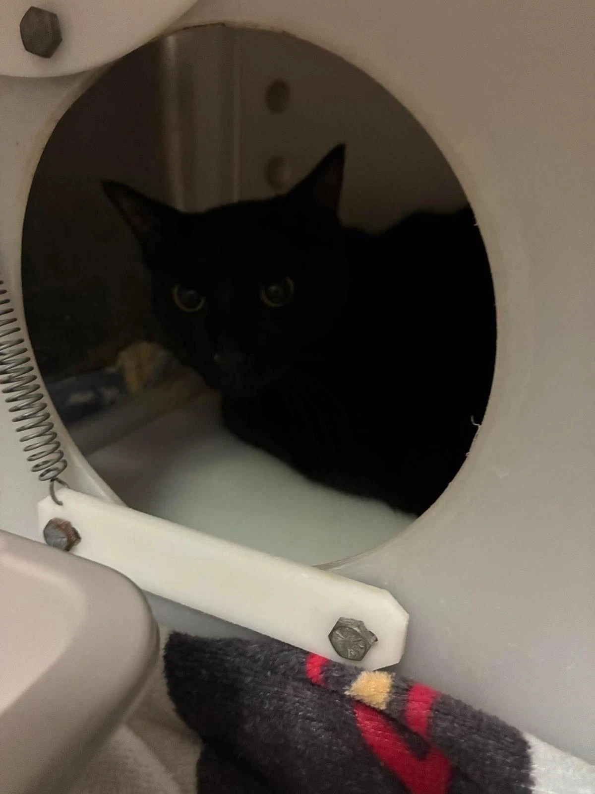 Loki