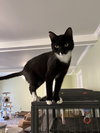 Stormy - Photo 2
