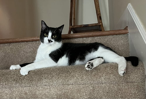 Photo 2 of Lucky