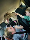 Lucy the Dog - Photo 4
