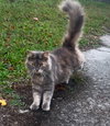 Daisy - Photo 2