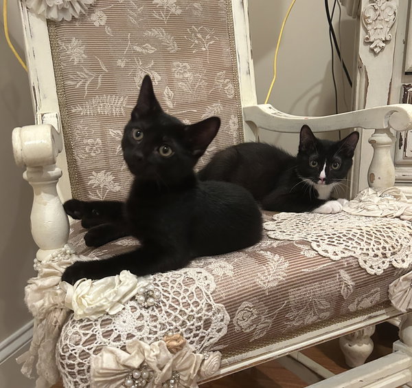 Gigi (& Hugh)