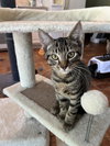 Paw Paw (& see Mr. Bones) - Photo 3