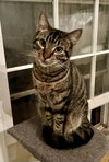 Mr. Bones - Photo 2