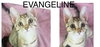 Evangeline - Photo 3