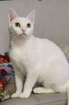 Libby - Photo 4