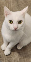 Libby - Photo 3