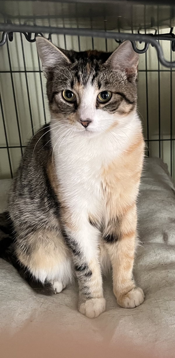 Chloe