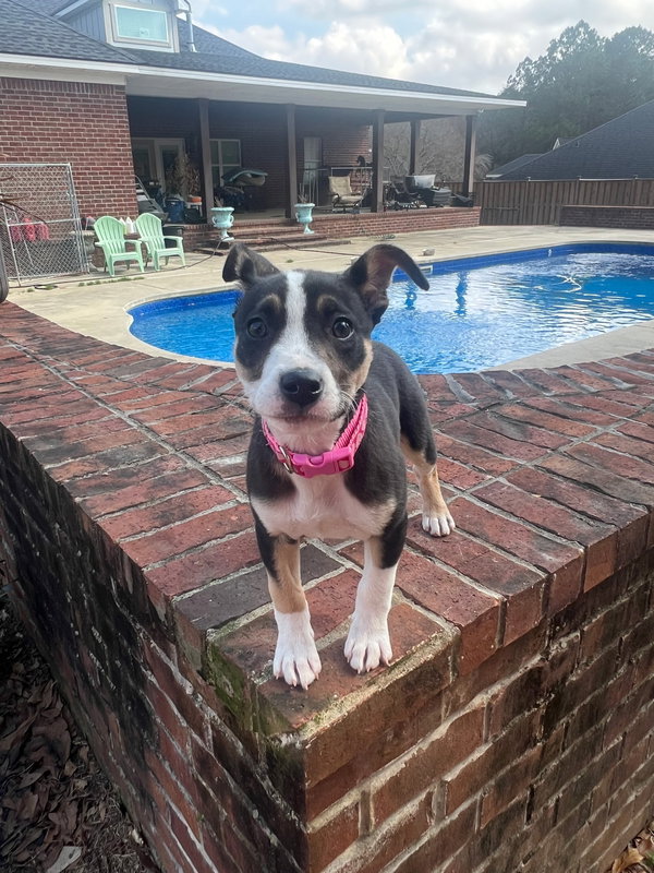 Coco Chanel