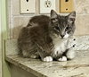 Butterbean - Photo 1