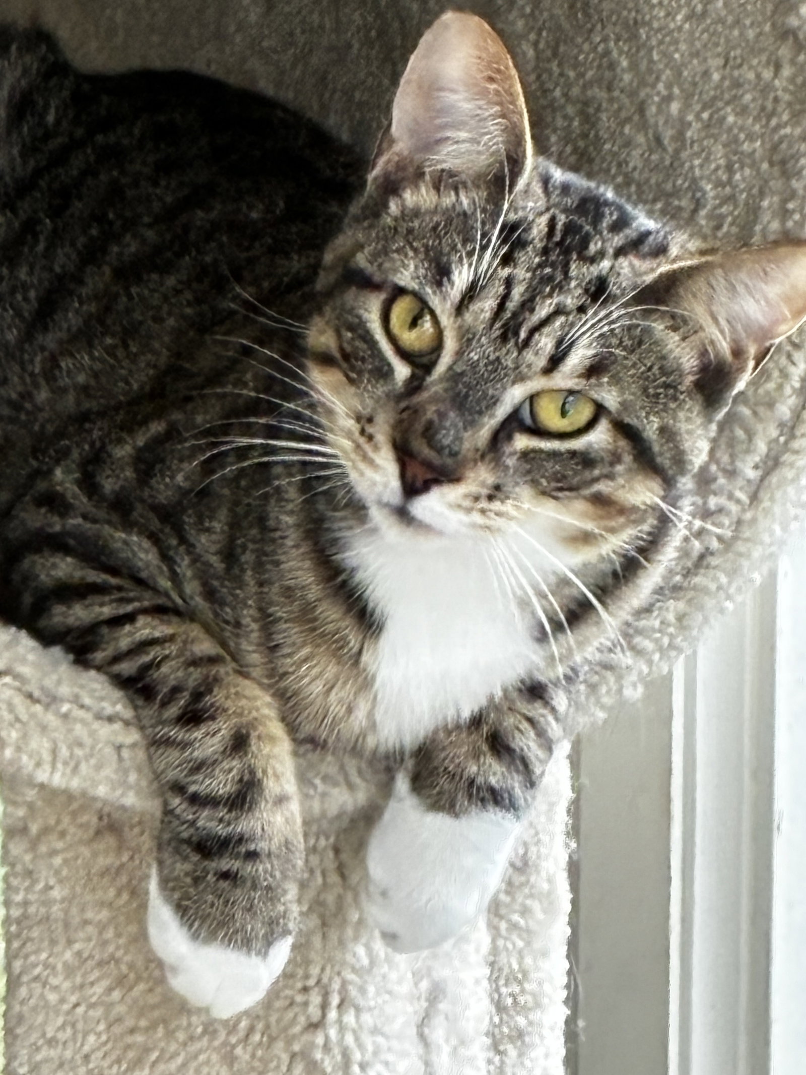 Hunter Image