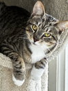 Hunter - Photo 1