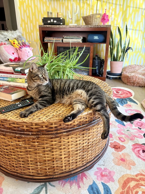 Finley