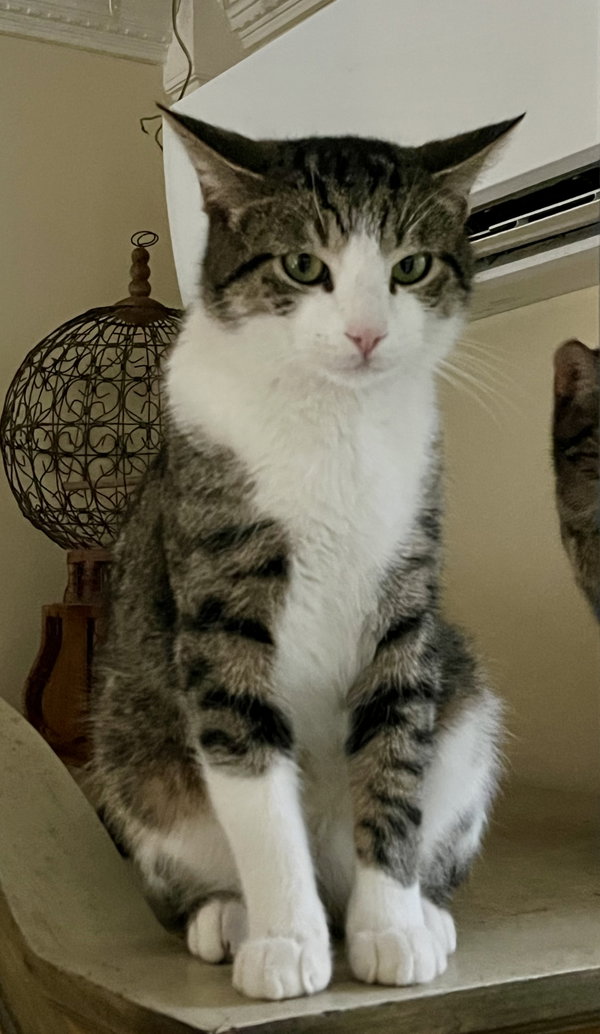 Binx