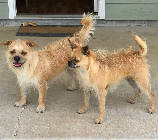Sammy & Chloe